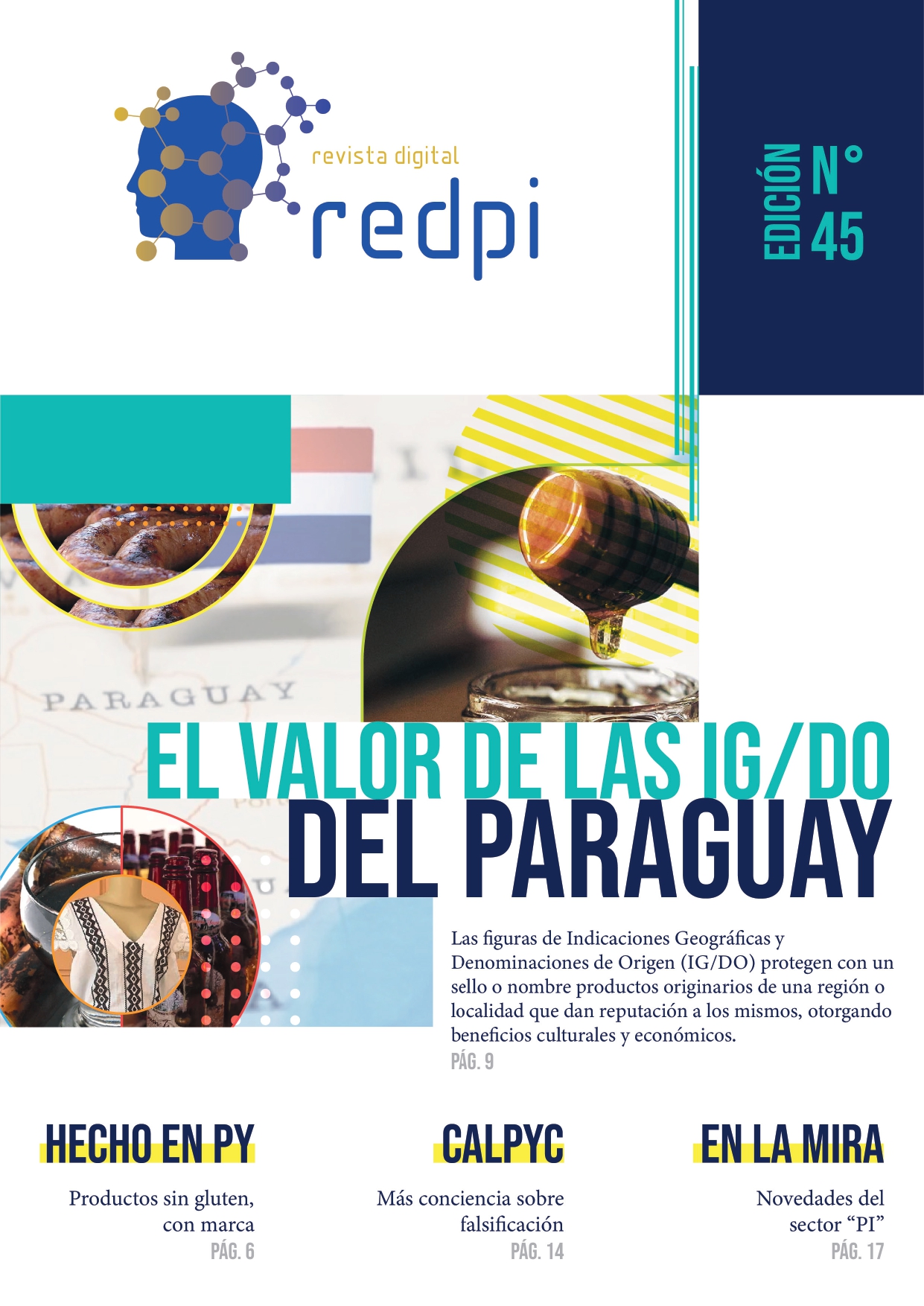 Revista REDPI Fascículo 45