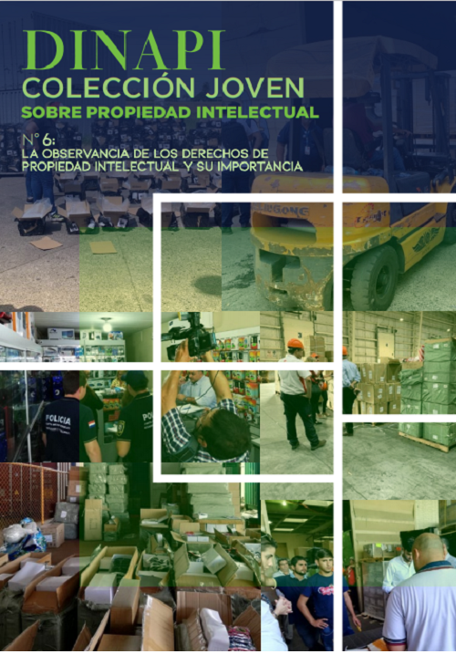 Fasciculo 6 de la Revista DINAPI - Colección Joven sobre Propiedad Intelectual