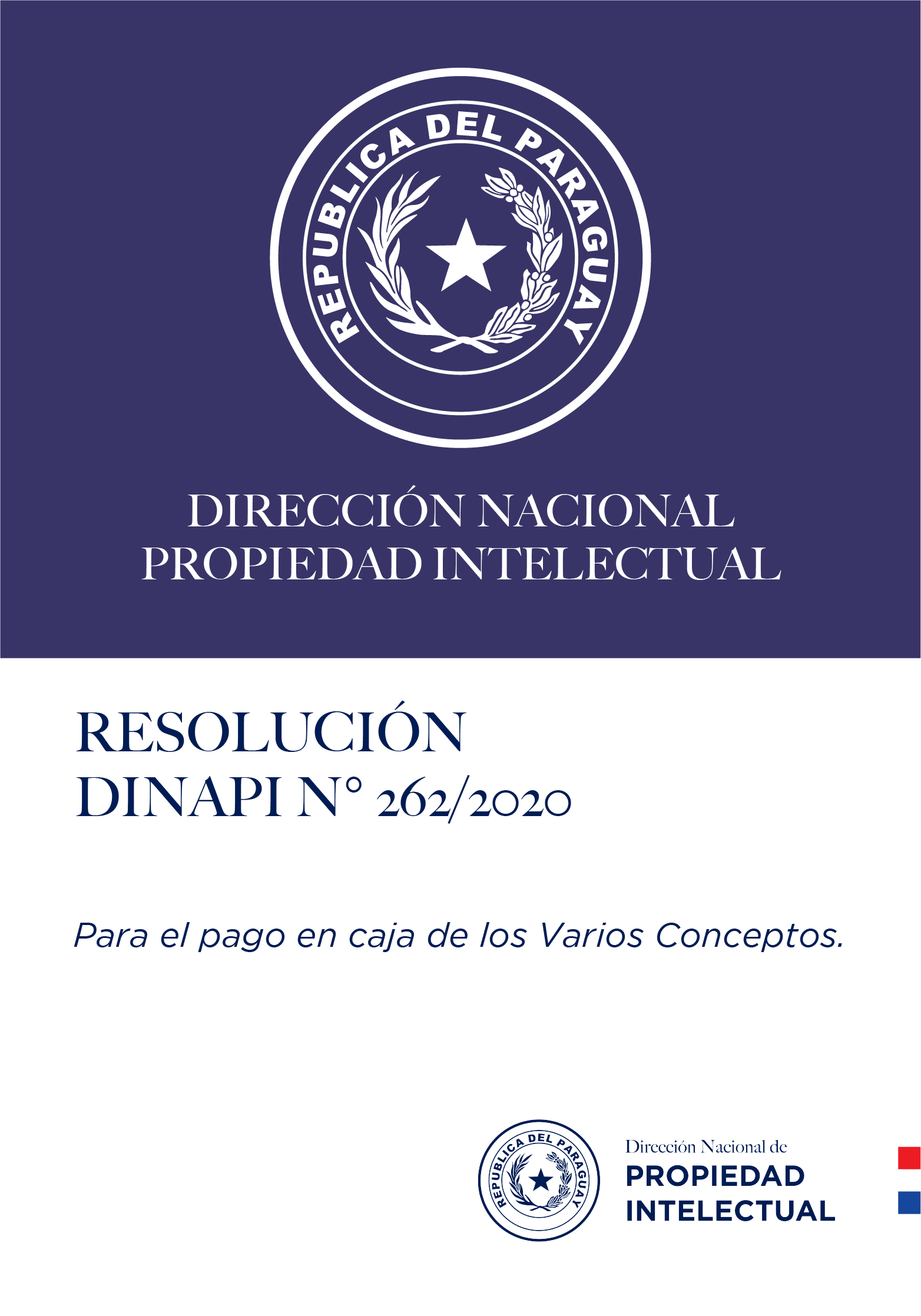 RESOLUCIÓN N° 262/2020
