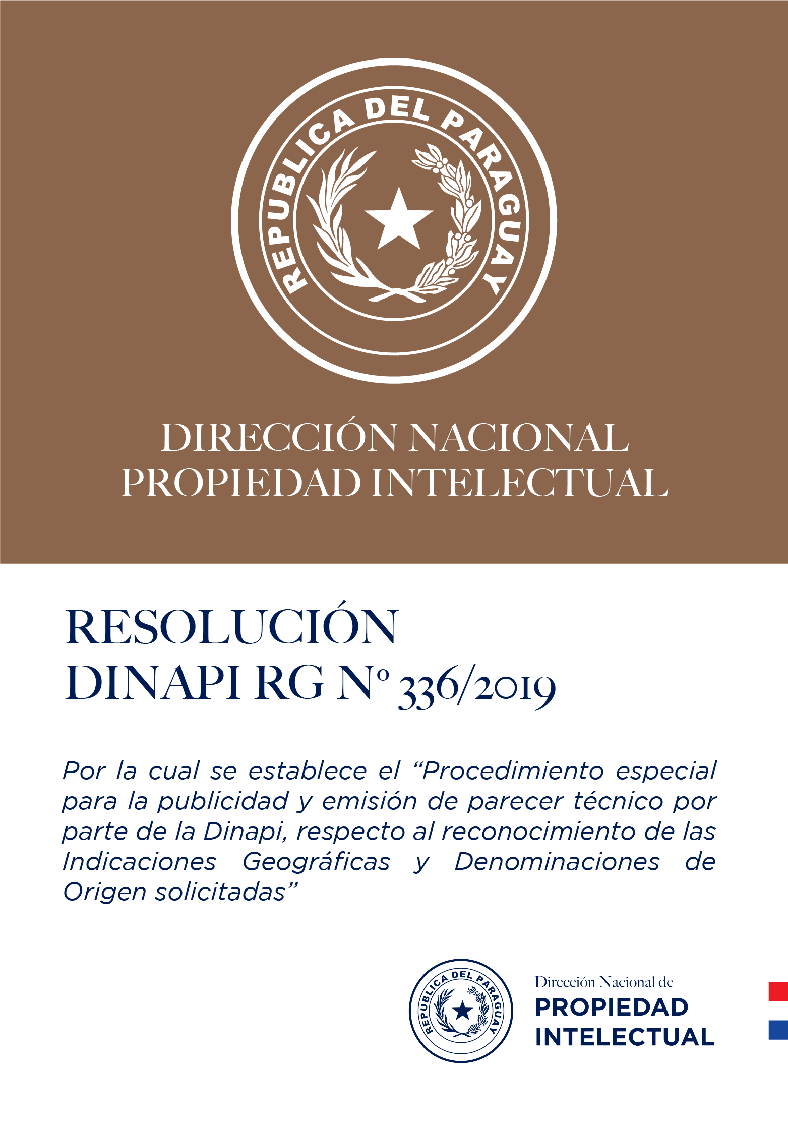 RESOLUCIÓN DINAPI Nº  336/2019