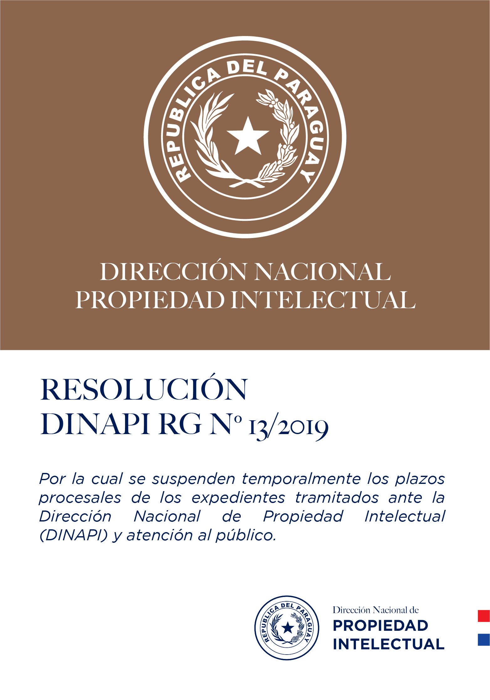 RESOLUCIÓN DINAPI Nº 13/2019