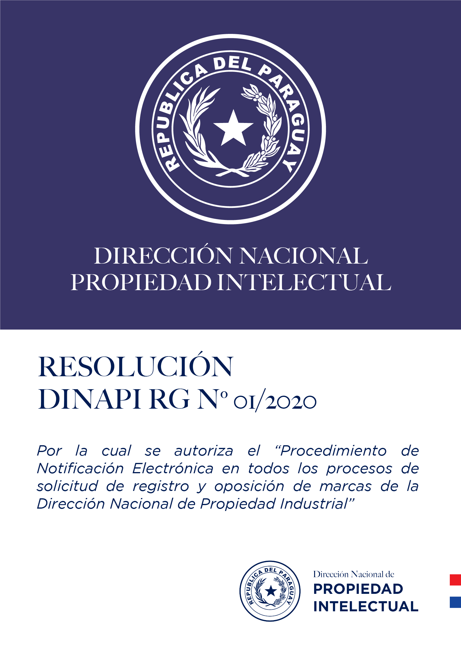 RESOLUCIÓN DINAPI Nº  01/2020