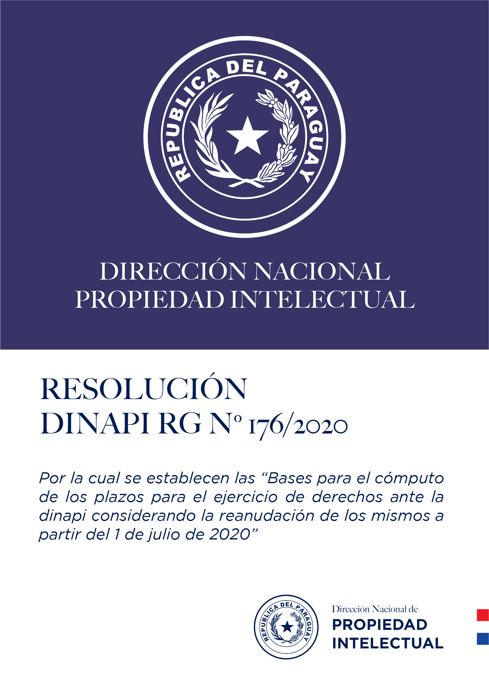 RESOLUCIÓN DINAPI Nº  176/2020