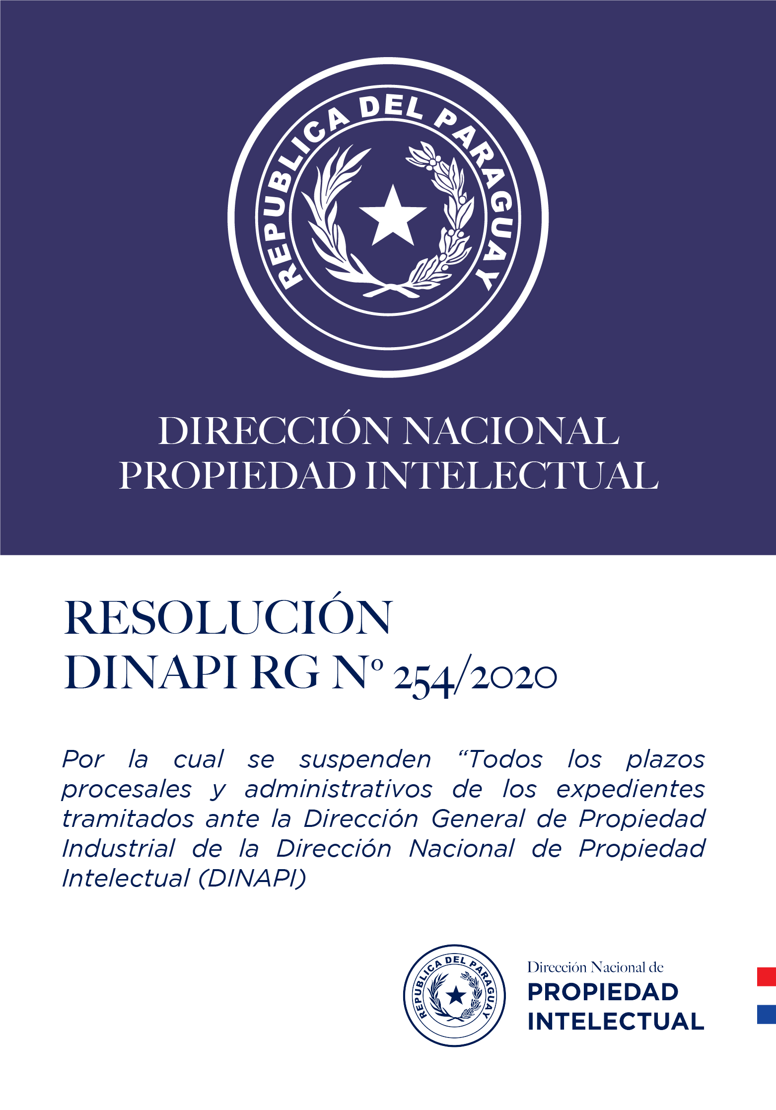 RESOLUCIÓN DINAPI Nº 254/2020