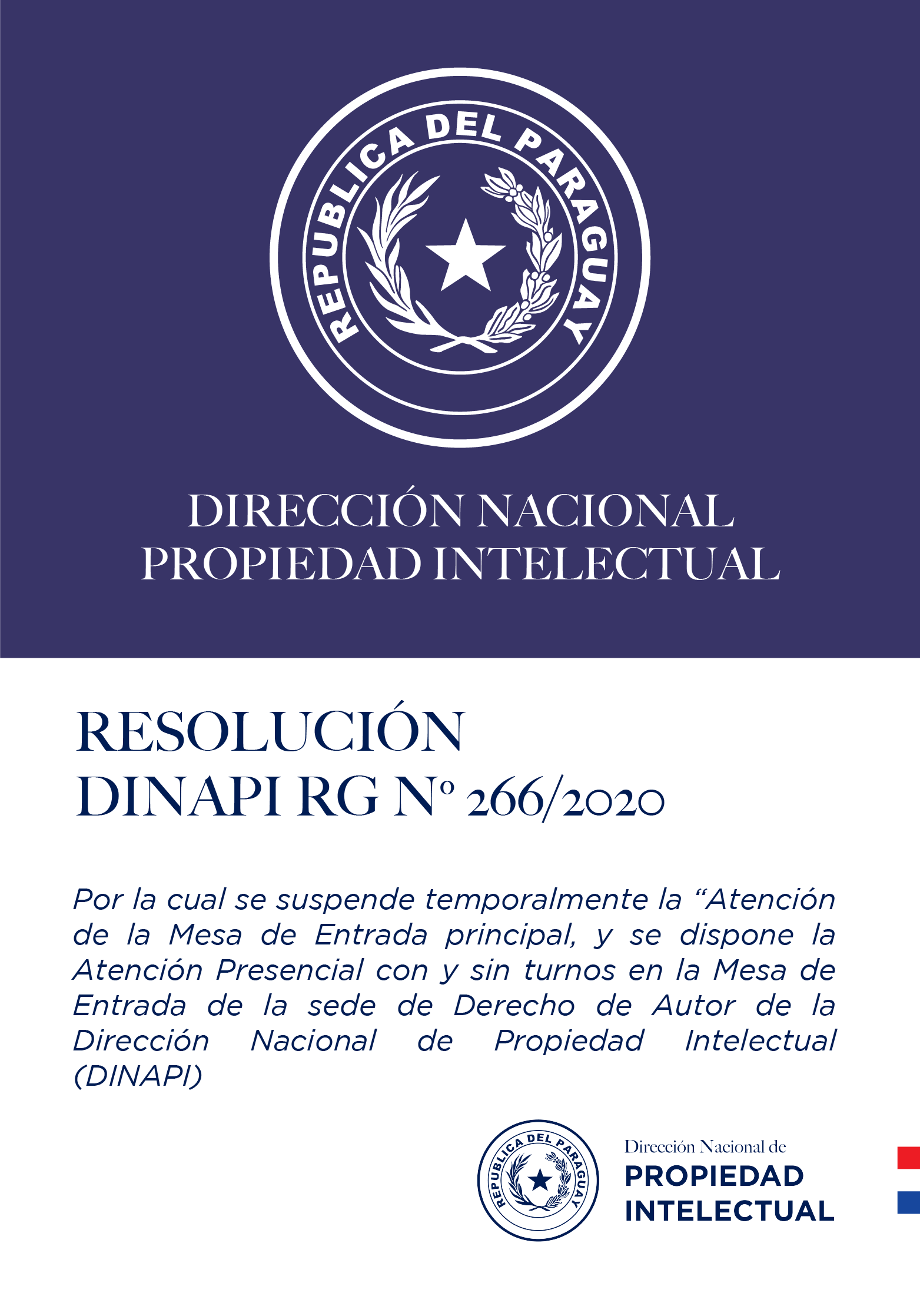 RESOLUCIÓN DINAPI Nº  266/2020