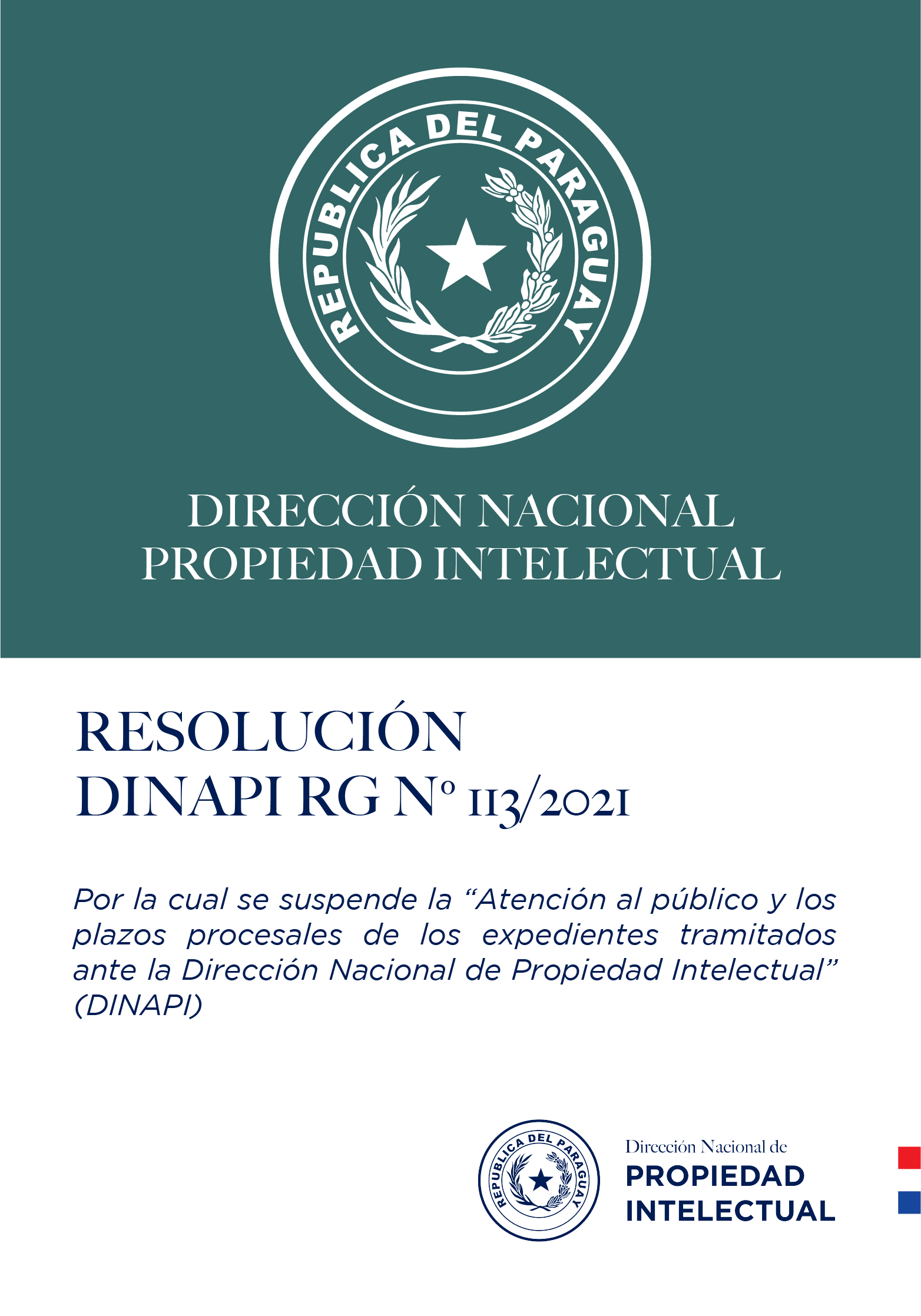 RESOLUCIÓN DINAPI Nº 113/2021