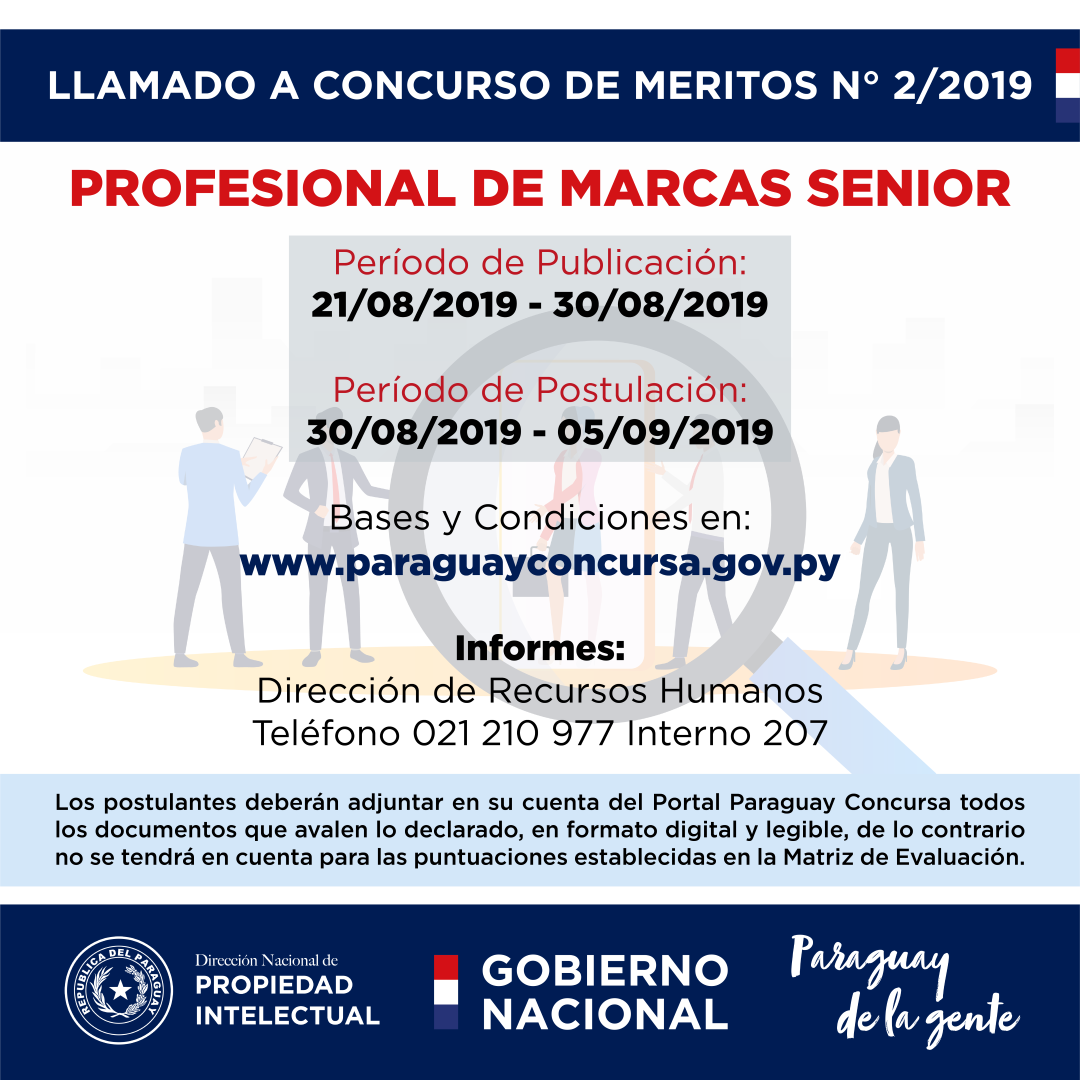 Profesional de marcas senior