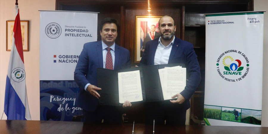 DINAPI y SENAVE acuerdan convenio de cooperación dentro del Plan Nacional 2.030