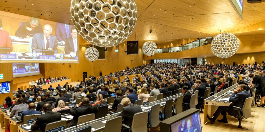 Paraguay con voz y voto para elegir el próximo director general de la OMPI