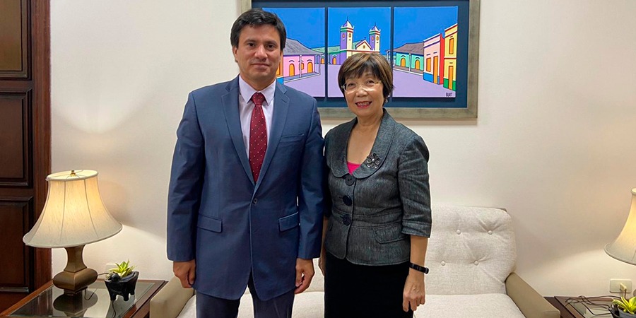 Singapur y DINAPI establecen agenda en conjunto para este año