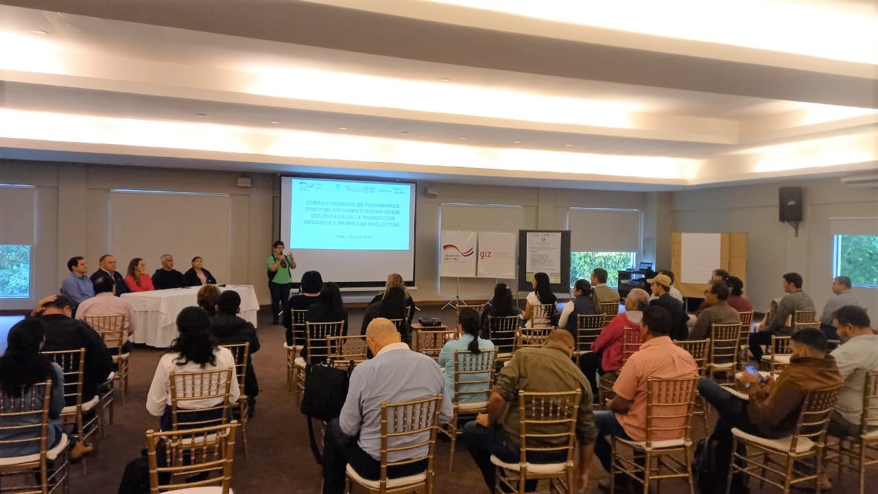 La DINAPI y la GIZ iniciaron talleres de formación en Competitividad Verde y Propiedad Intelectual