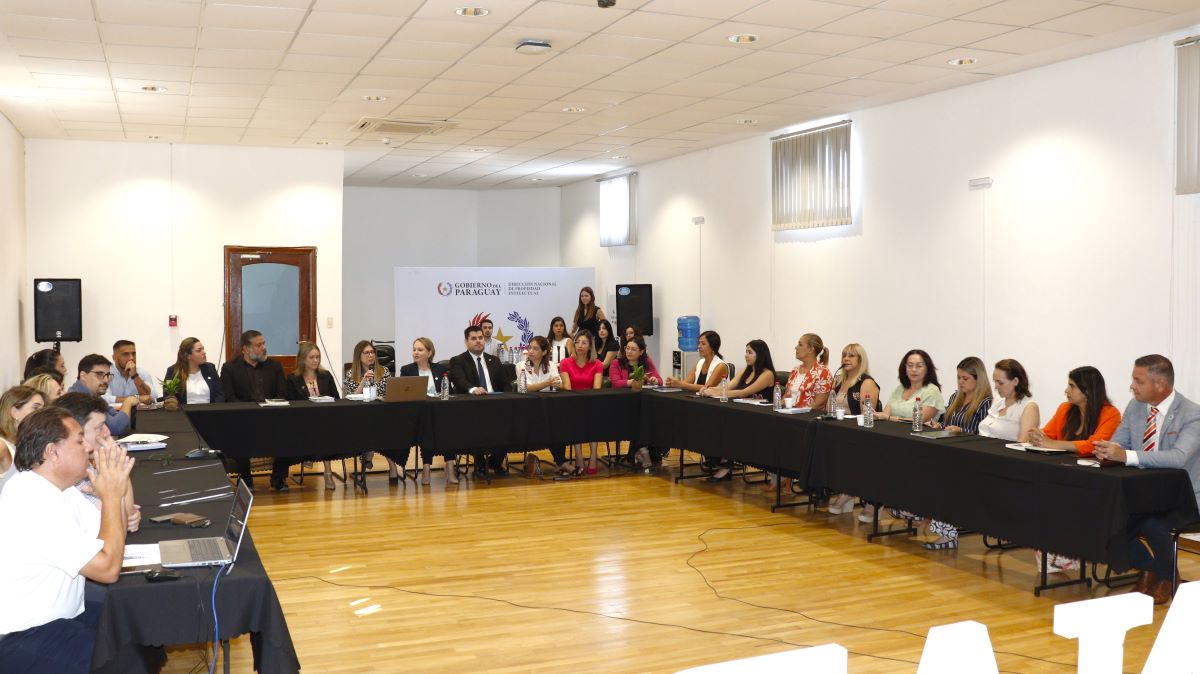 La DINAPI presentó un reporte de resultados, avances y proyecciones para el 2025