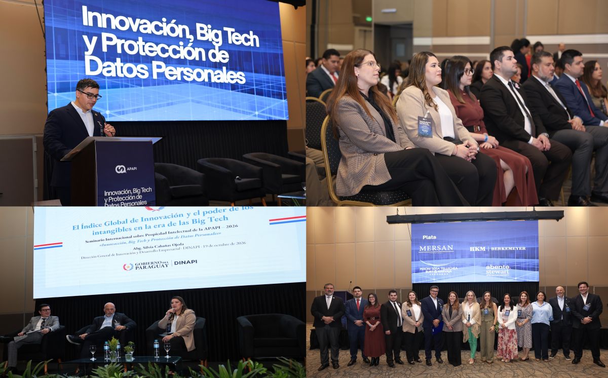 DINAPI participó del seminario “Innovación, Big Tech y Protección de Datos Personales”, organizado por la APAPI