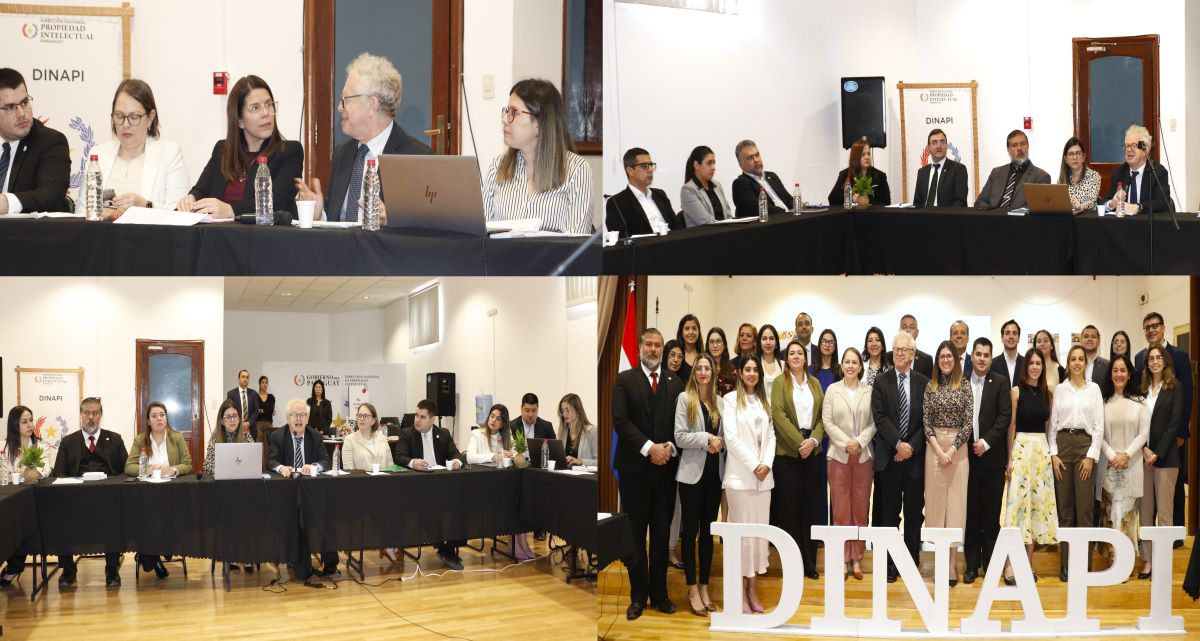 Del Dibujo y Modelo al Diseño Industrial: DINAPI propone actualización de la normativa vigente