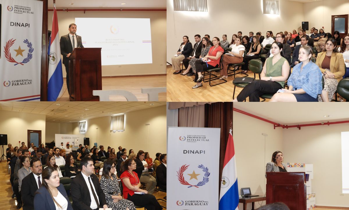 Presentación de resultados y evaluaciones del plan estratégico de la DINAPI del periodo 2025