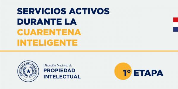 La DINAPI presta servicios de forma online y presencial durante la cuarentena inteligente