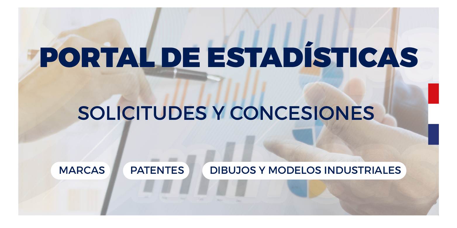 La DINAPI habilita su portal digital de estadísticas
