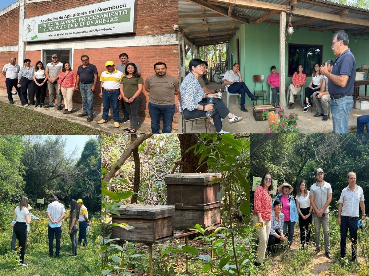Visita técnica al centro de producción de la Miel de Abeja de los Humedales de Ñeembucú
