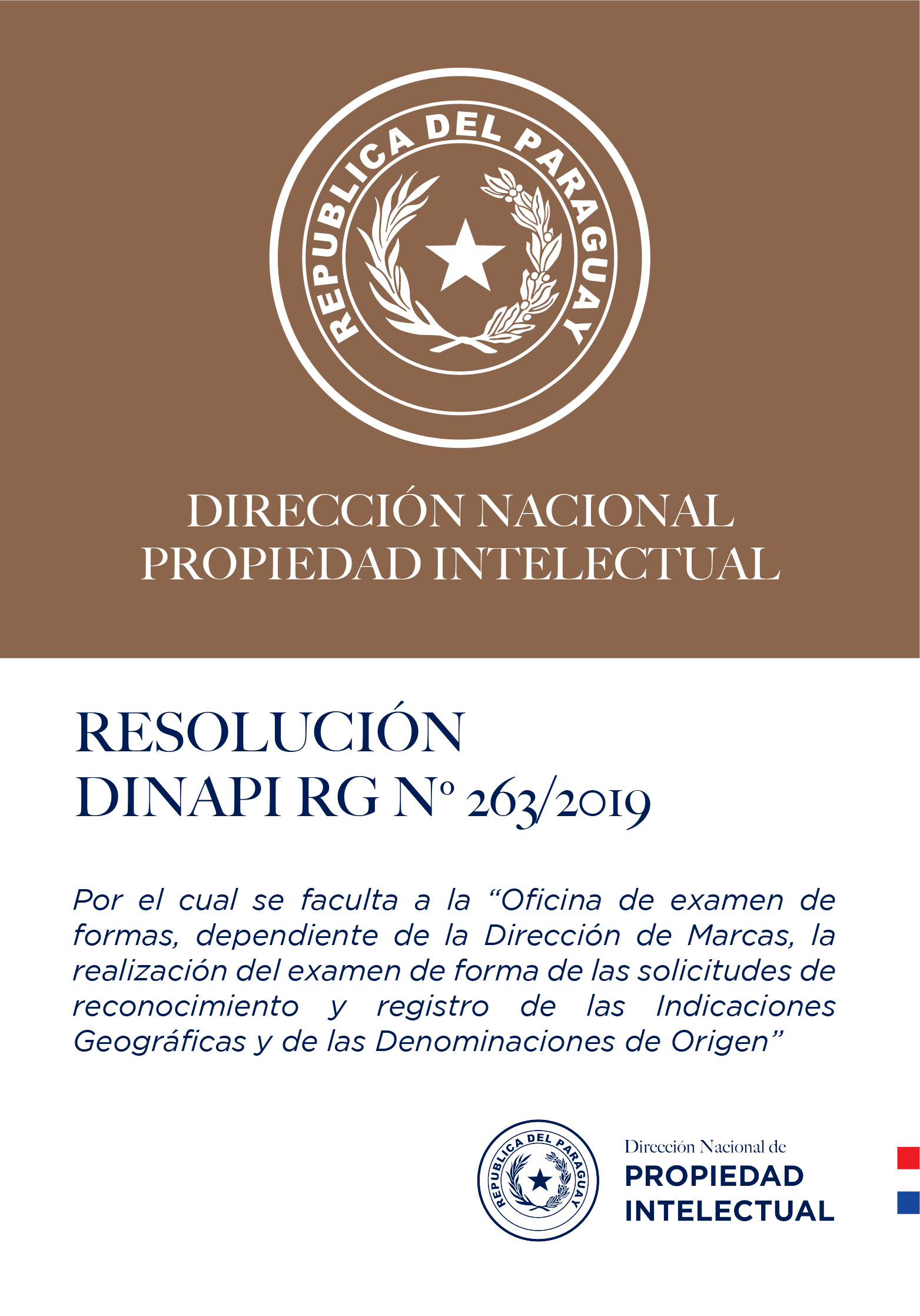 RESOLUCIÓN DINAPI Nº  263/2019