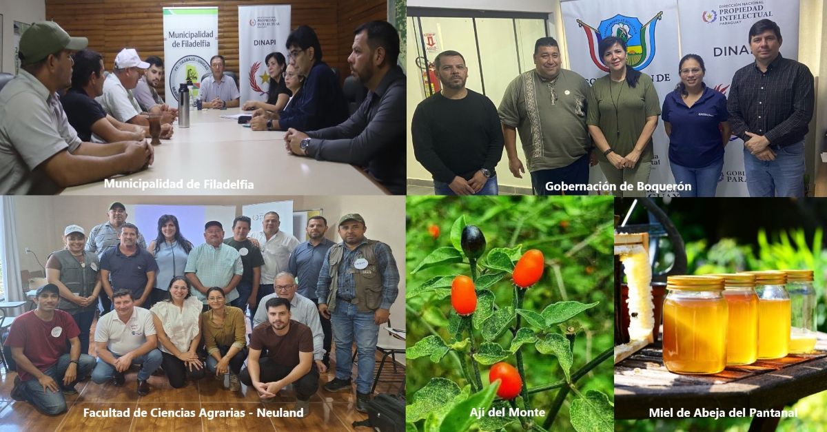 Analizan protección de productos chaqueños por sus características vinculadas a la región