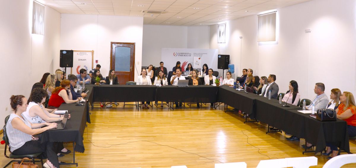 Fructífero conversatorio entre la DINAPI y los agentes de propiedad intelectual
