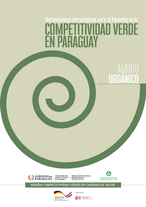 Herramientas estrat&eacute;gicas para el fomento de la Competitividad Verde en Paraguay