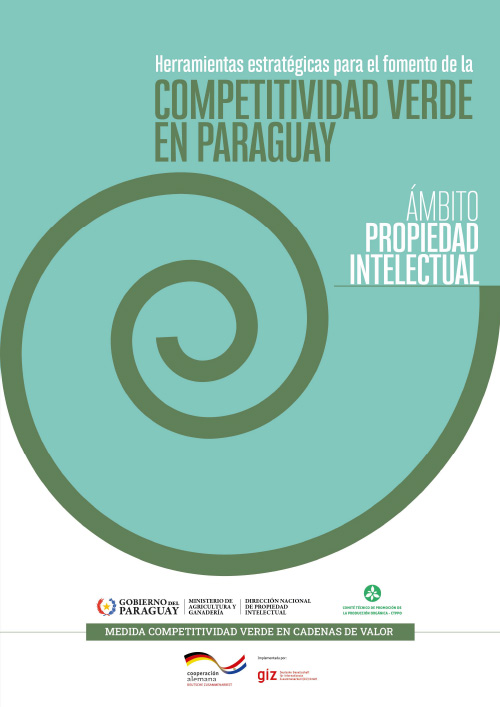 Herramientas estrat&eacute;gicas para el fomento de la Competitividad Verde en Paraguay